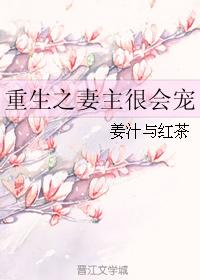 重生之妻主很會寵