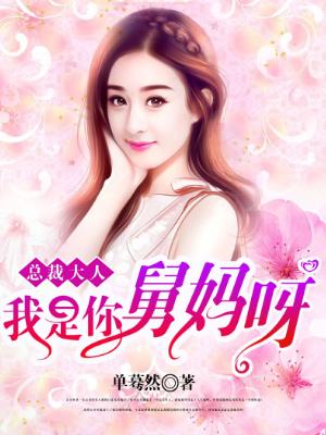 總裁大人，我是你舅媽呀！