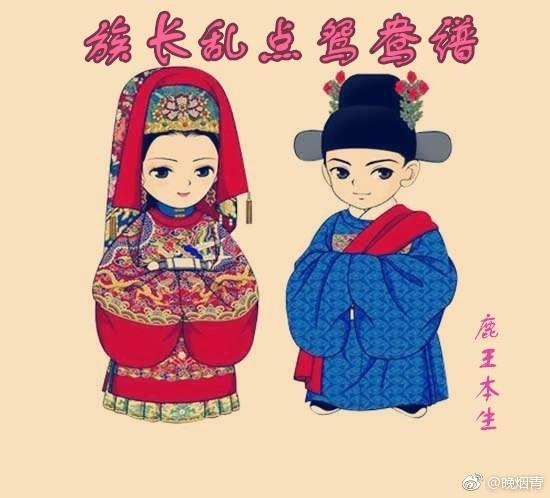 紅樓之族長亂點鴛鴦譜