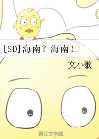 [SD]海南？海南！