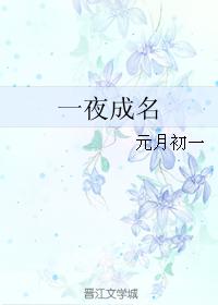 一夜成名