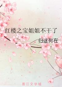 紅樓之寶姐姐不幹了