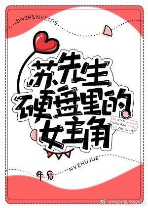 蘇先生硬盤裏的女主角