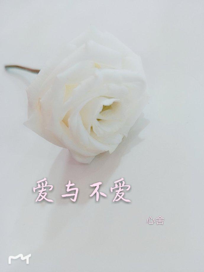 愛與不愛
