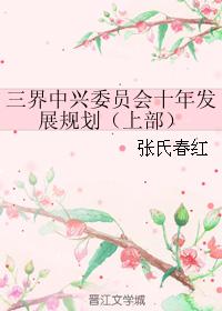 三界中興委員會十年發展規劃（上部）