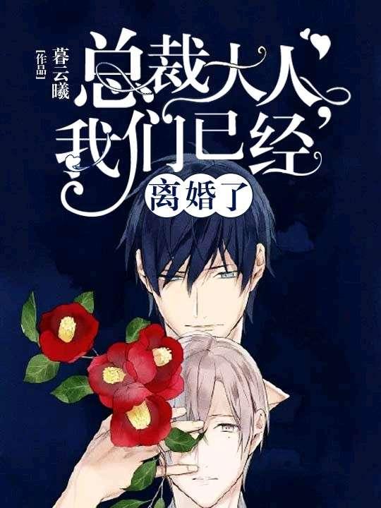總裁大人我們已經離婚了