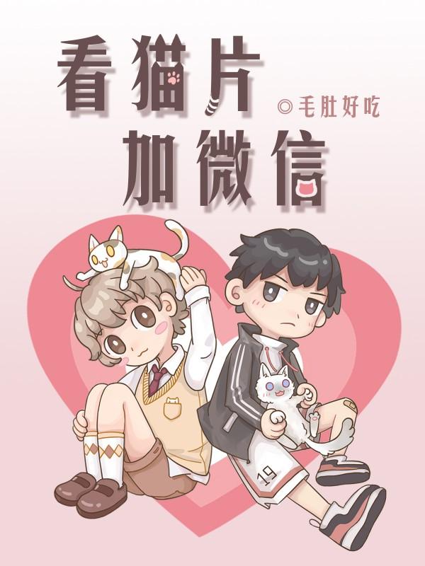 看貓片加微信