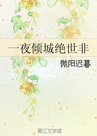 一夜傾城絕世非