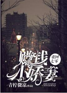 重回七零：賺錢小嬌妻