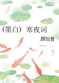 (墨白) 寒夜詞