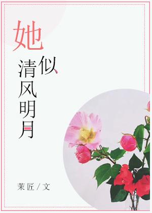 她似清風明月