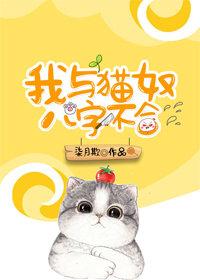 我與貓奴八字不合