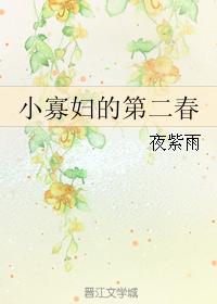 小寡婦的第二春