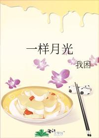一樣月光