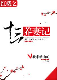 紅樓之十三養妻記