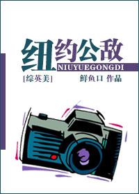 [綜英美]紐約公敵