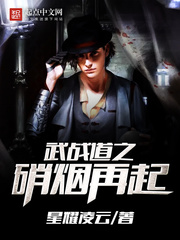 武戰道之硝煙再起