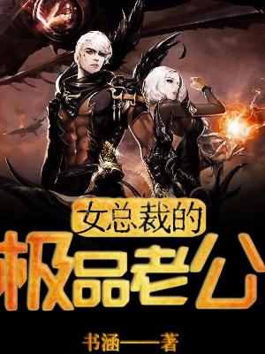 女總裁的極品老公