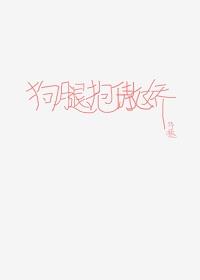 狗腿抱傲嬌
