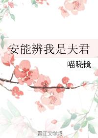 安能辨我是夫君