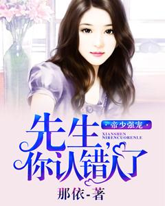 帝少強寵：先生，你認錯人了