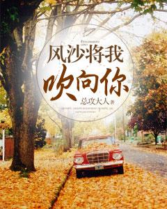 風沙将我吹向你