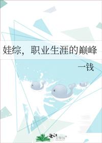 娃綜，職業生涯的巅峰