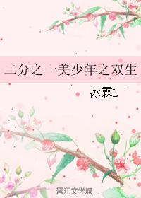 二分之一美少年之雙生