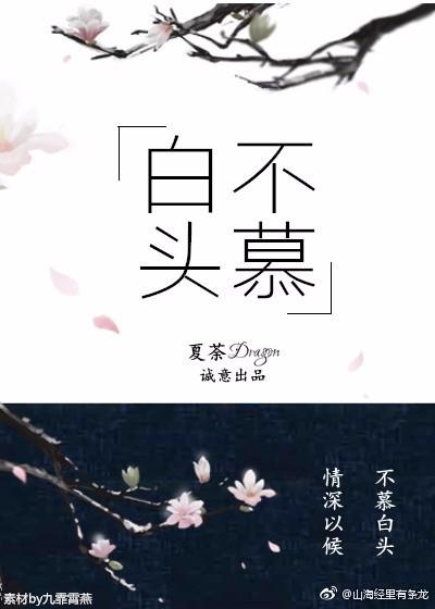 白頭不慕