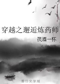 穿越之邂逅煉藥師