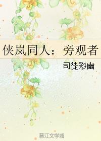 俠岚同人：旁觀者