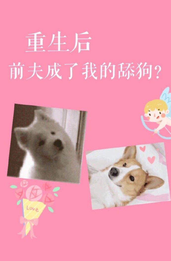 重生後前夫成了我的舔狗？