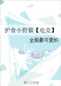 護食小野貓【電競】