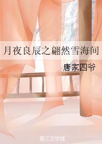 月夜良辰之翩然雪海間