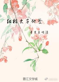 紅樓太子他爹