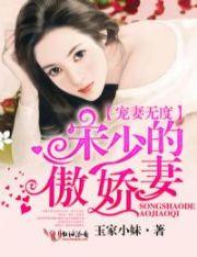 寵妻無度，宋少的傲嬌妻