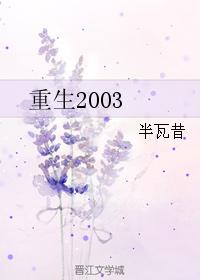 重生2003