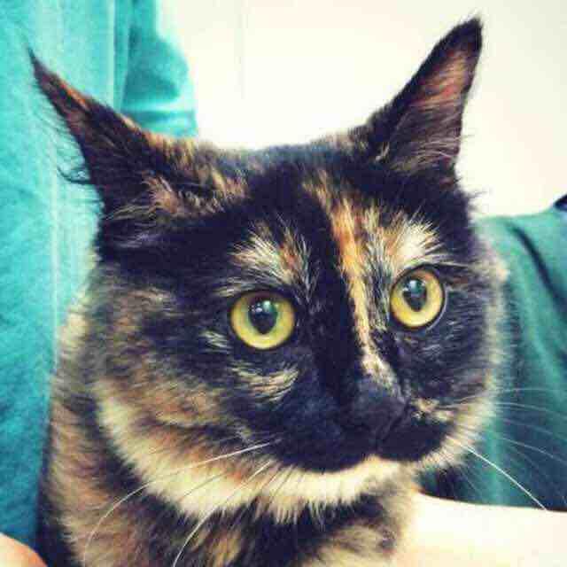 你麻麻覺得你要相親了