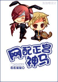 網配正宮神馬