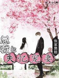 總裁的失憶寵妻