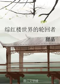 綜紅樓世界的輪回者