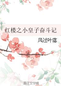 紅樓之小皇子奮鬥記