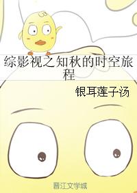 綜影視之知秋的時空旅程