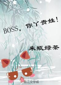 BOSS，你Y貴姓！