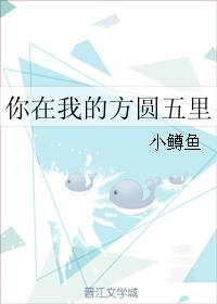 你在我的方圓五裏