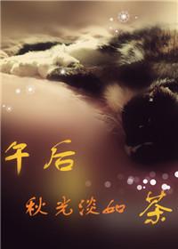 午後秋光淡如茶湯