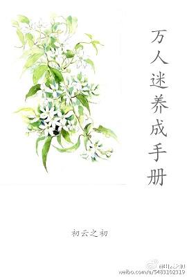 （系統）萬人迷養成手冊