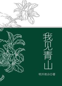 我見青山