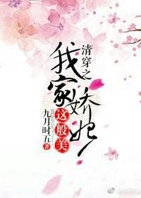 清穿之我家嬌妃這般美