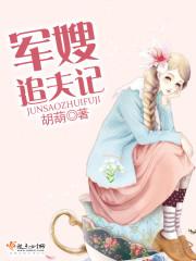 軍嫂追夫記